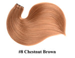 10Pcs Silky Straight Clip Ins