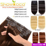 10Pcs Silky Straight Clip Ins